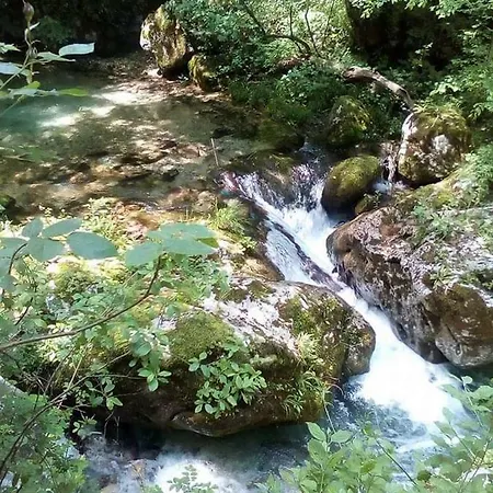 Apartman Kameno Vrelo *